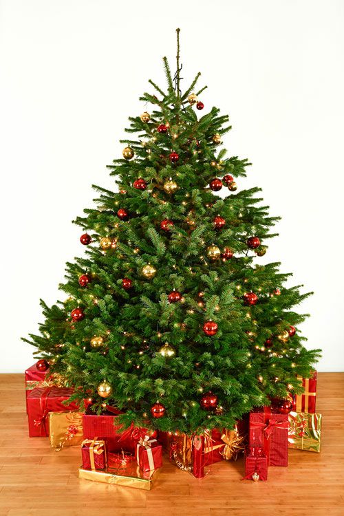 Dekorierter Weihnachtsbaum 2,5 m mit Lichterketten & Kugeln