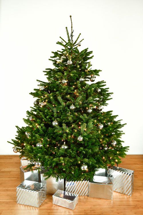 Dekorierter Weihnachtsbaum 2,5 m mit Lichterketten & Kugeln