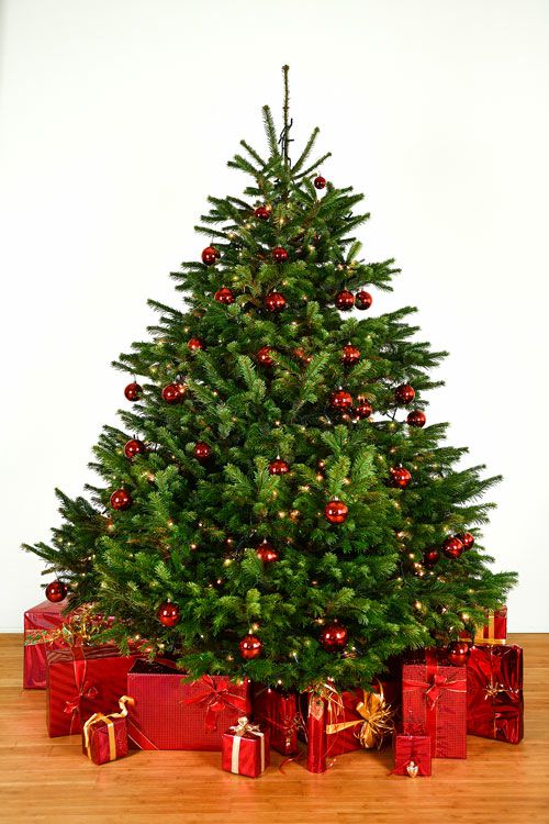 Dekorierter Weihnachtsbaum 2,5 m mit Lichterketten & Kugeln
