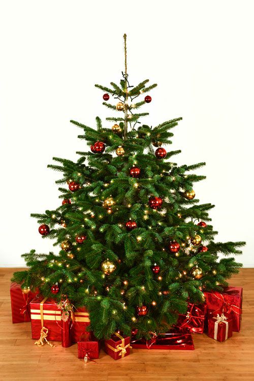 Dekorierter Weihnachtsbaum 2,0 m mit Lichterketten & Kugeln