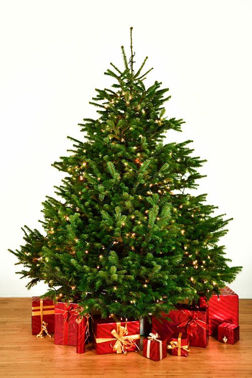 Dekorierter Weihnachtsbaum 2,5 m mit Lichterketten
