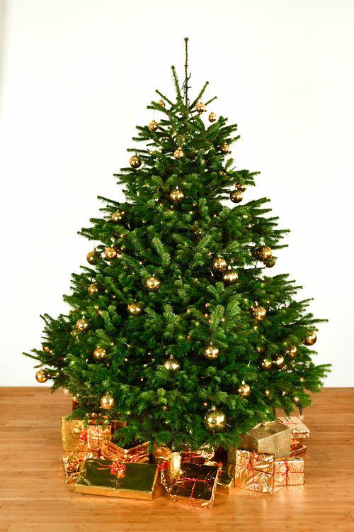 Dekorierter Weihnachtsbaum 2,5 m mit Lichterketten & Kugeln