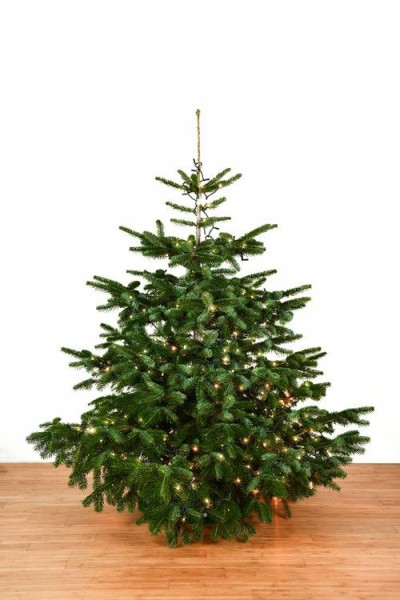 Dekorierter Weihnachtsbaum 2,0 m mit Lichterketten